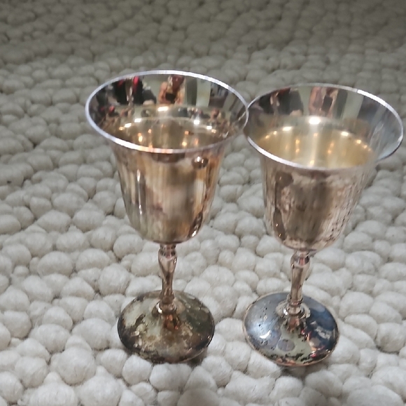 Elegant Silver Goblet Set - Picture 1 of 2